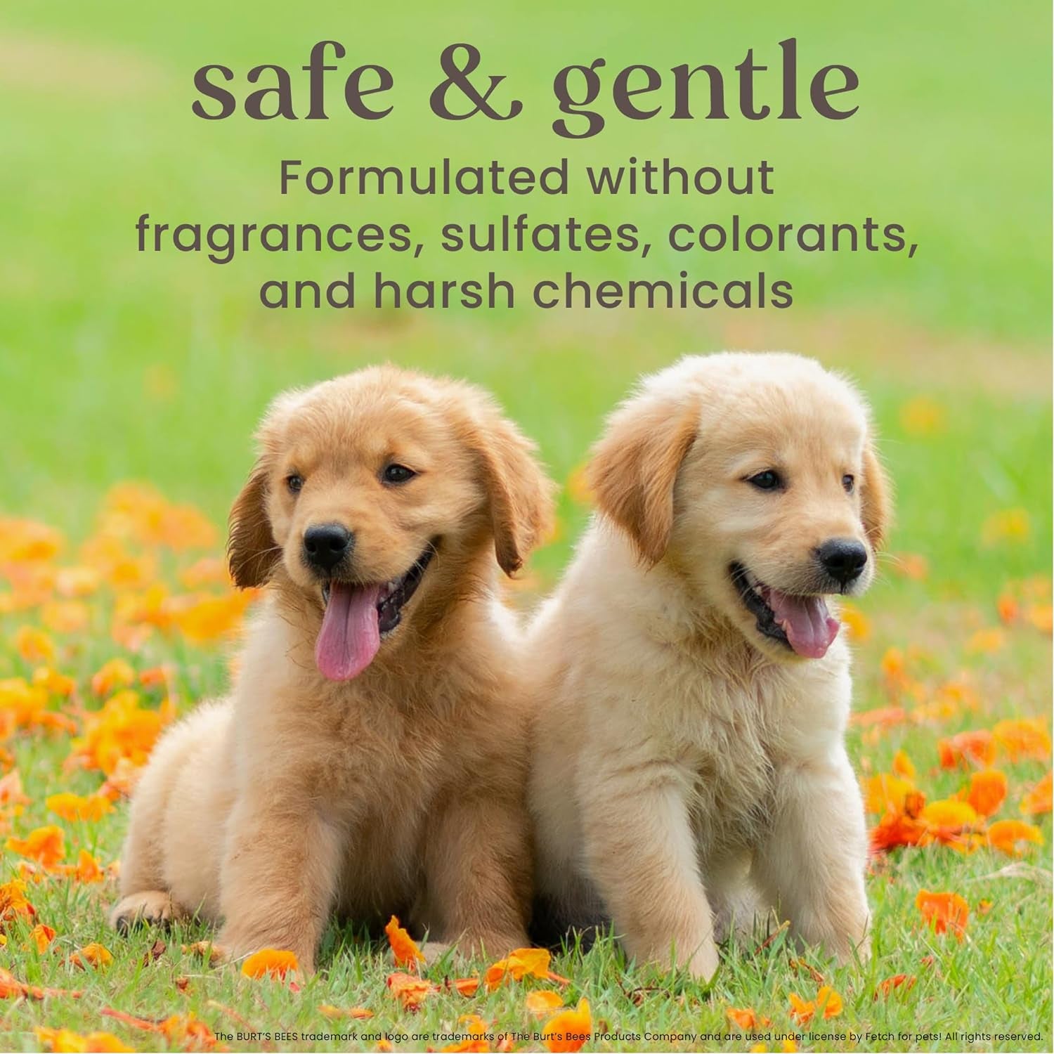Tear Free Puppy Shampoo and Conditioner - Tearless Dog Wash for Puppies, Pet Grooming Supplies, Gentle Dog Shampoo and Conditioner, Puppy Essentials for Easy Groom, 16 Fl Oz