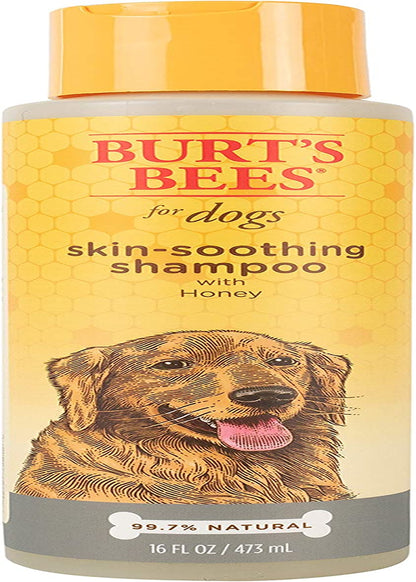 for Pets Naturally Derived Skin Soothing Shampoo with Honey - Dog Shampoo for All Dogs and Puppies - Safe for Dogs with Dry and Sensitive Skin - Made in USA, 16 Ounces