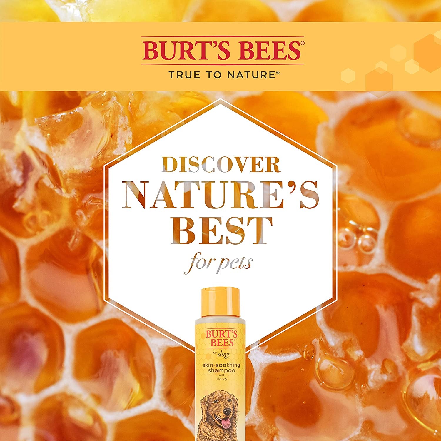 for Pets Naturally Derived Skin Soothing Shampoo with Honey - Dog Shampoo for All Dogs and Puppies - Safe for Dogs with Dry and Sensitive Skin - Made in USA, 16 Ounces