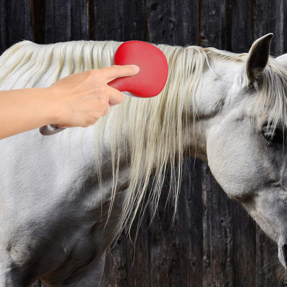 Mane and Tail Brush for Horses and Dogs with Soft Touch Grip (RED)