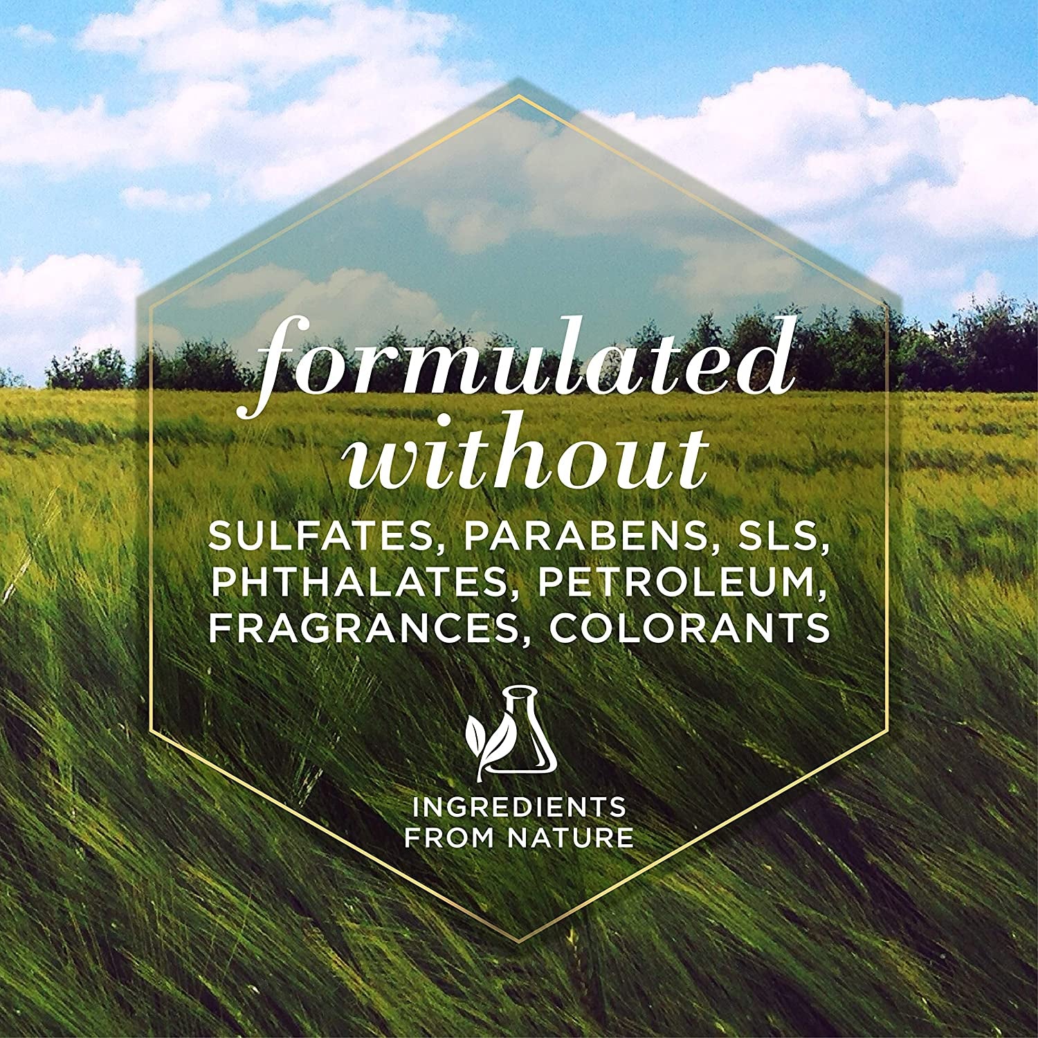 Deodorizing Dog Shampoo with Apple and Rosemary, 95% Natural Origin Formulas, Gentle Canine Cleanser for Smelly Pups, 2 Pk 16 Oz