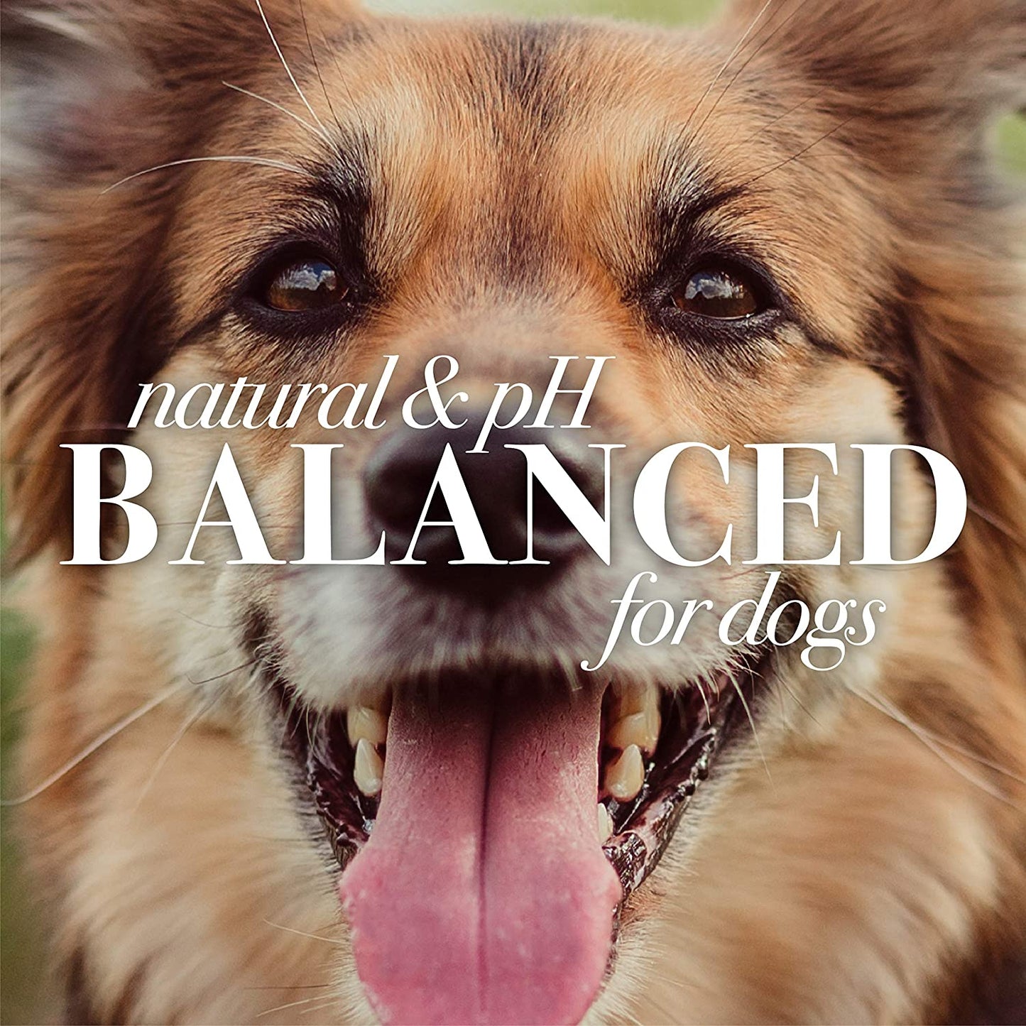 Deodorizing Dog Shampoo with Apple and Rosemary, 95% Natural Origin Formulas, Gentle Canine Cleanser for Smelly Pups, 2 Pk 16 Oz