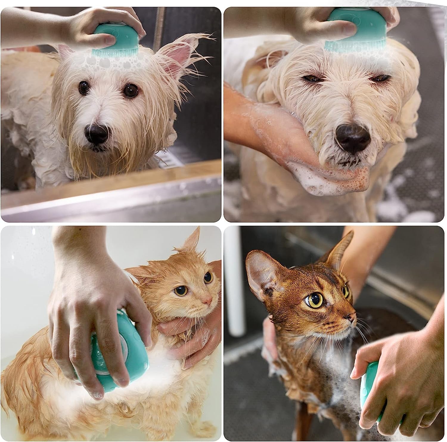 Pet Bath Brush Dog Baths Brush Shampoo Dispenser Soft Silicone Dog Bathing Brushes Dogs Shampoo Brushes Scrubbers for Cats and Dogs Shower Brush Grooming (Blue)