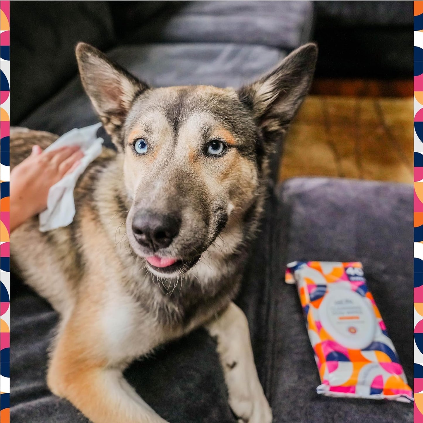 Pet Wipes for Dogs, Dog Cleaning Wipes - Plant-Based Dog Wipes with Moisturizing Aloe Leaf & Calendula - Made in the USA - Bergamot Apple Scent Dog Grooming Wipes - 40Ct (Pack of 1)